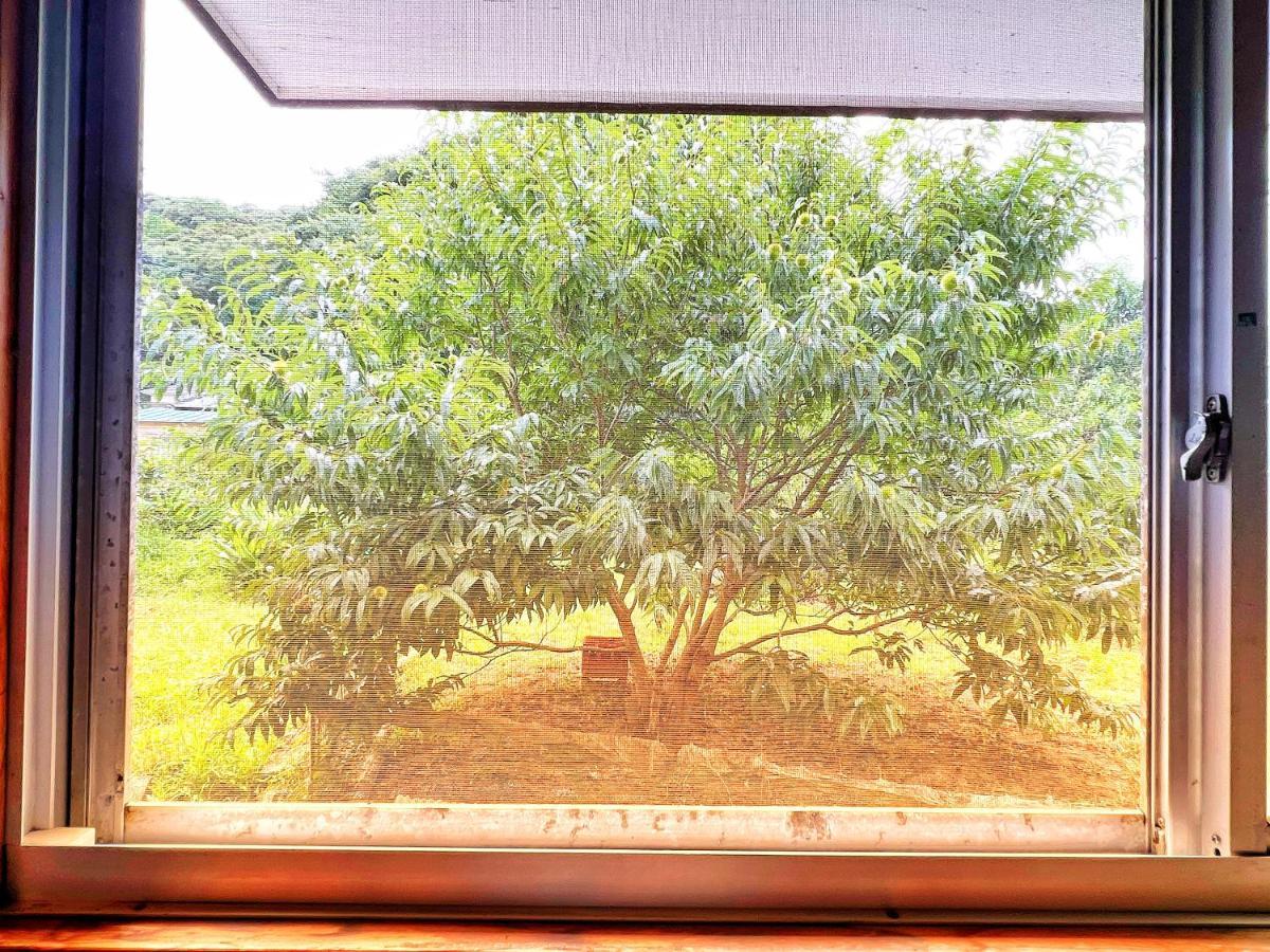 Iriyama-So Hotel Shimoda  Bagian luar foto